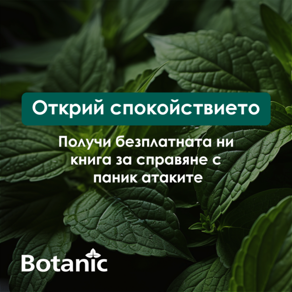Книга за справяне с паник атаките